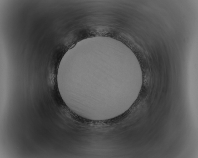 X0000086750866200705111653