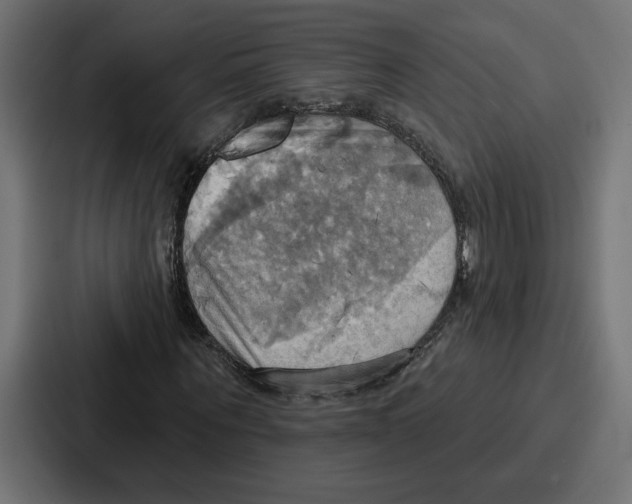 X0000086750867200705111653