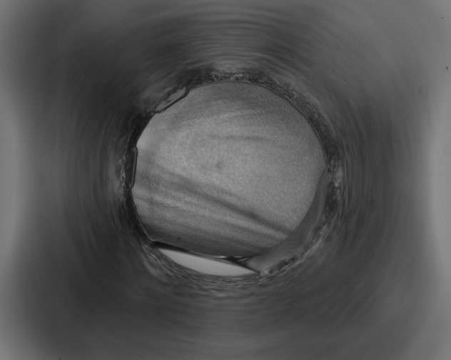 X0000086750868200705111653