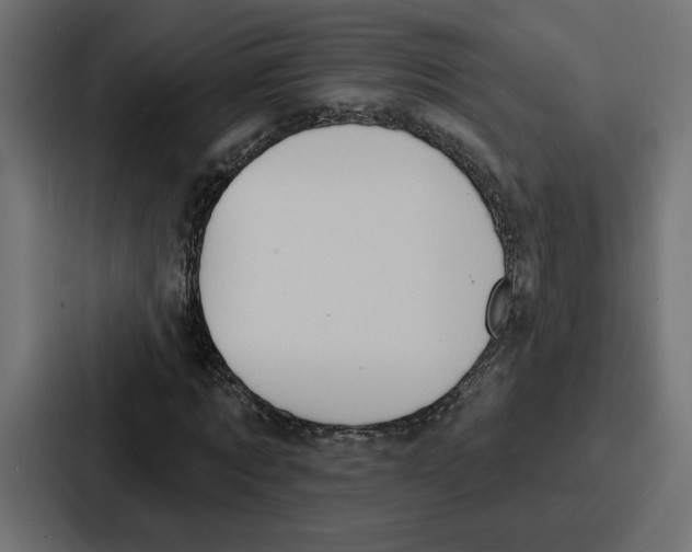 X0000086750869200705111653