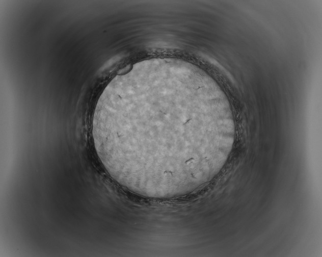 X0000086750870200705111653