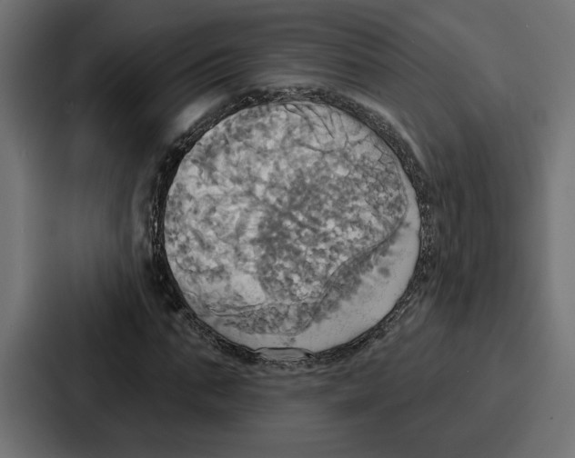X0000086750871200705111653