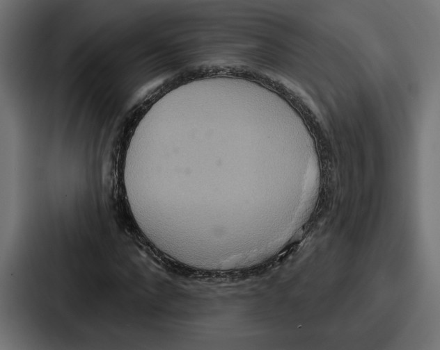 X0000086750872200705111653