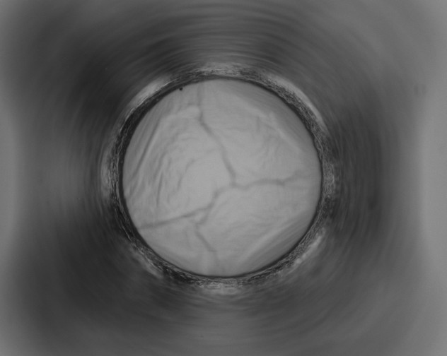 X0000086750874200705111653