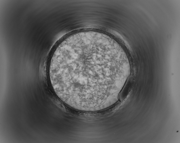X0000086750875200705111653