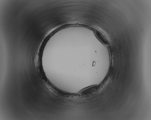 X0000086750876200705111653