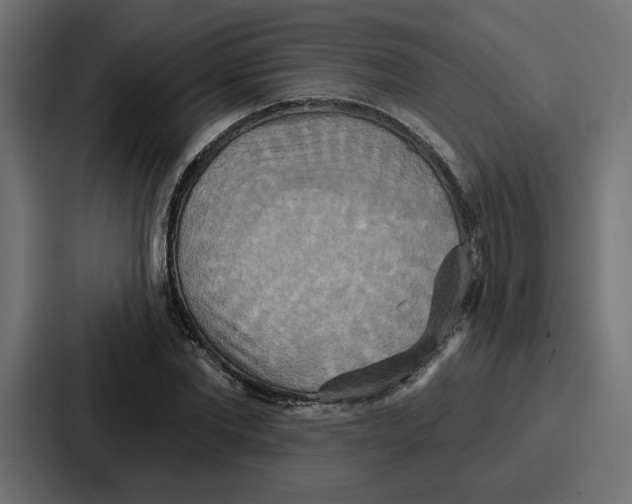 X0000086750877200705111653