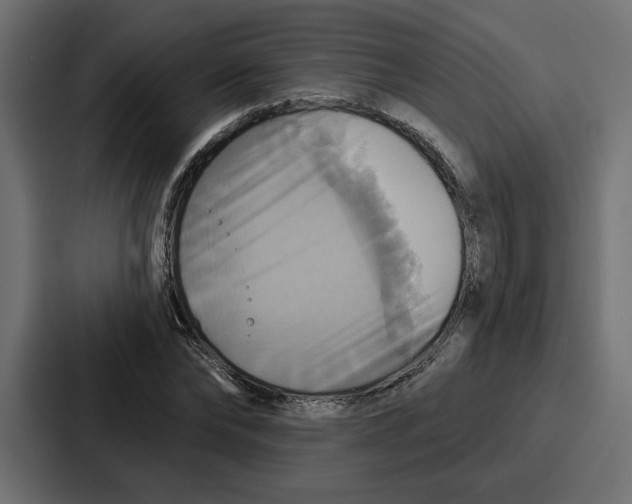 X0000086750878200705111653