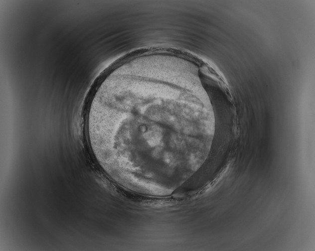 X0000086750879200705111653