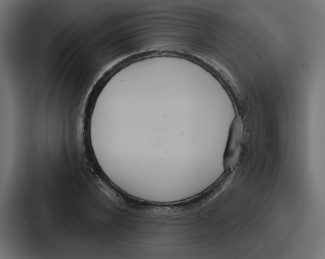 X0000086750880200705111652