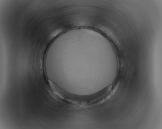 X0000086750881200705111652