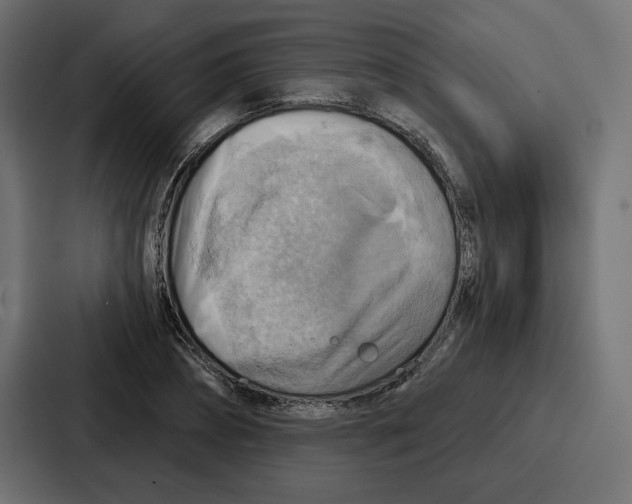 X0000086750882200705111652