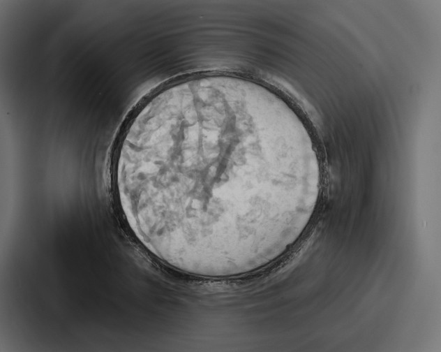 X0000086750883200705111652