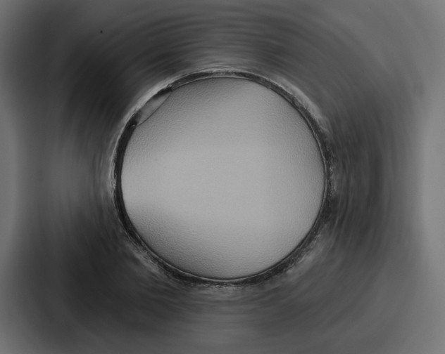 X0000086750885200705111652