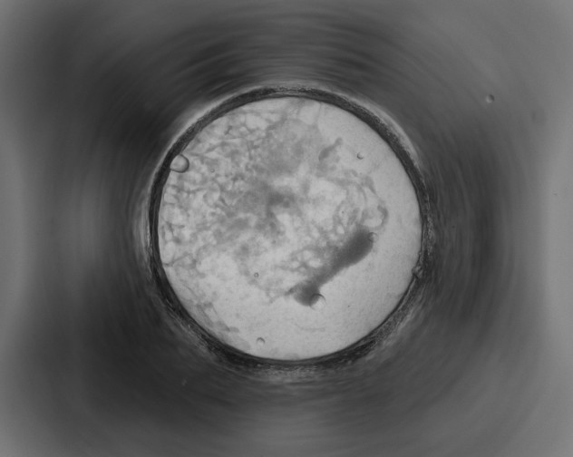 X0000086750887200705111652