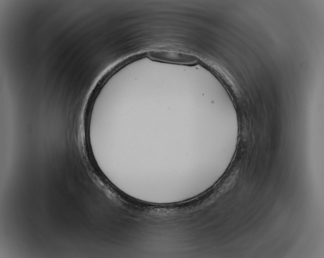 X0000086750888200705111652