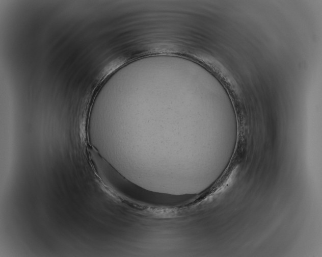 X0000086750889200705111652