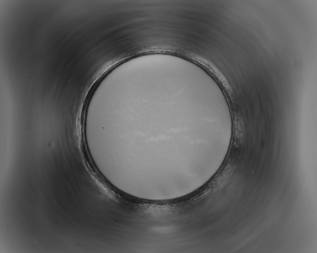 X0000086750890200705111652