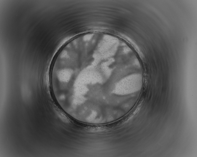X0000086750891200705111652