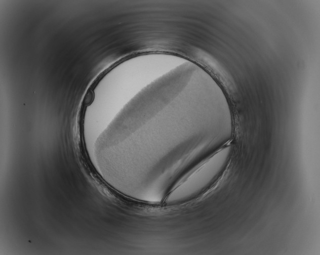X0000086750892200705111652