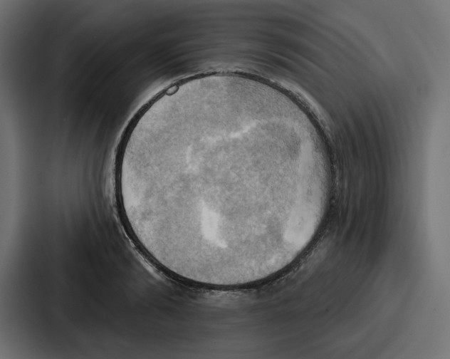 X0000086750894200705111652
