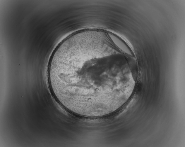 X0000086750895200705111652