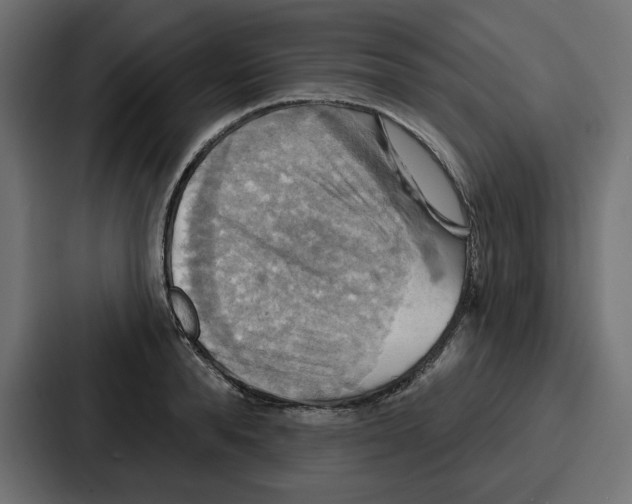 X0000086750896200705111652
