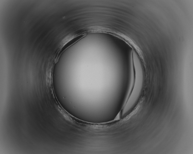 X0000086750897200705111652