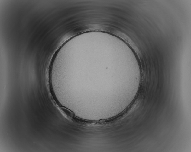 X0000086750898200705111652