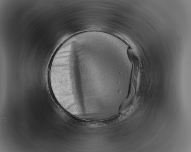 X0000086750899200705111652