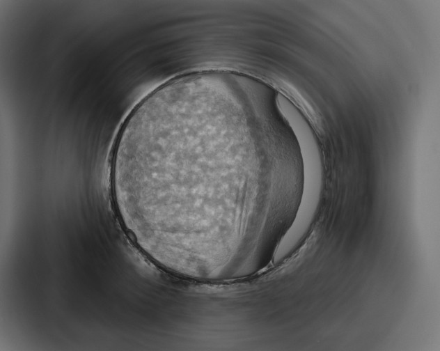 X0000086750900200705111652