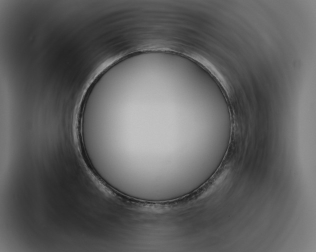 X0000086750901200705111652