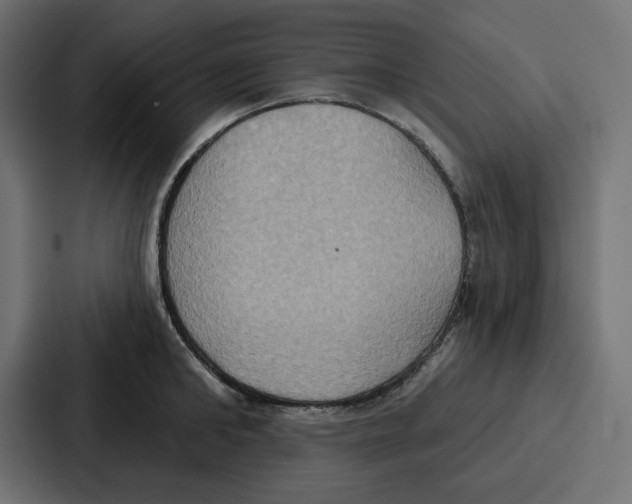 X0000086750902200705111652