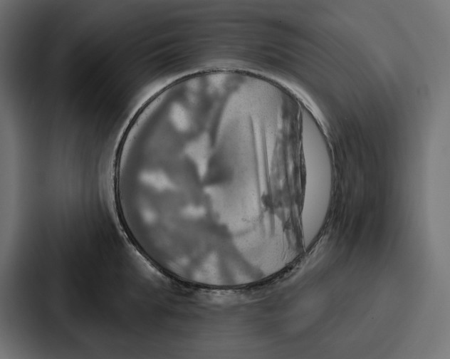 X0000086750903200705111652