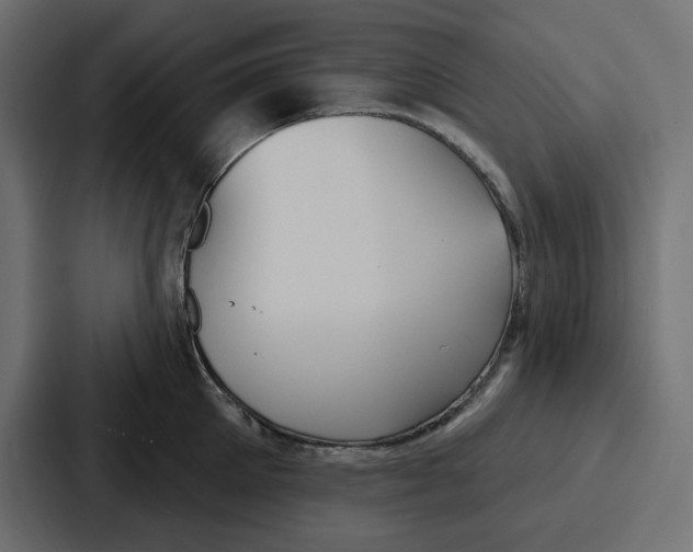 X0000086750905200705111652