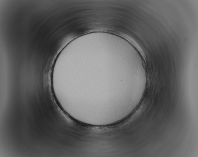 X0000086750906200705111652