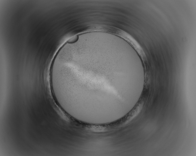 X0000086750907200705111652