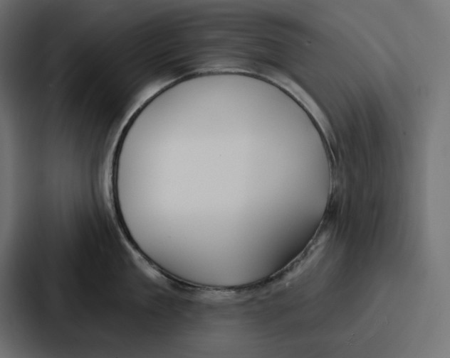 X0000086750909200705111652