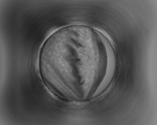X0000086750910200705111652