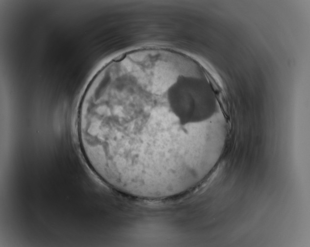 X0000086750911200705111652