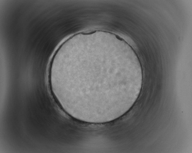 X0000086750912200705111652