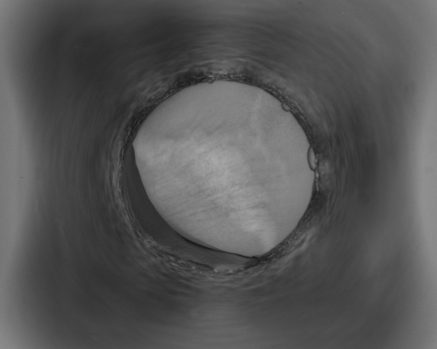 X0000086750913200705111651
