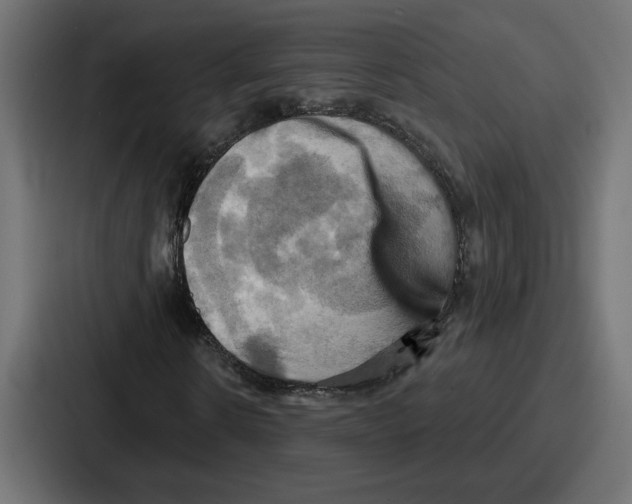 X0000086750914200705111651