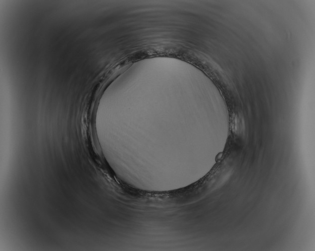 X0000086750915200705111651