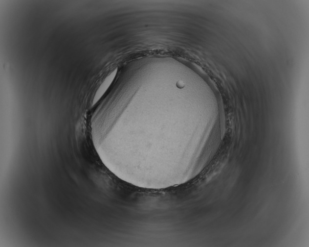X0000086750916200705111651
