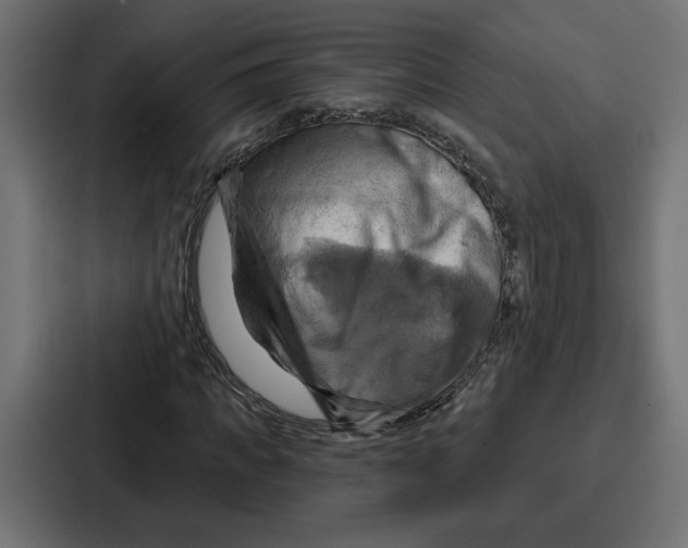 X0000086750917200705111652