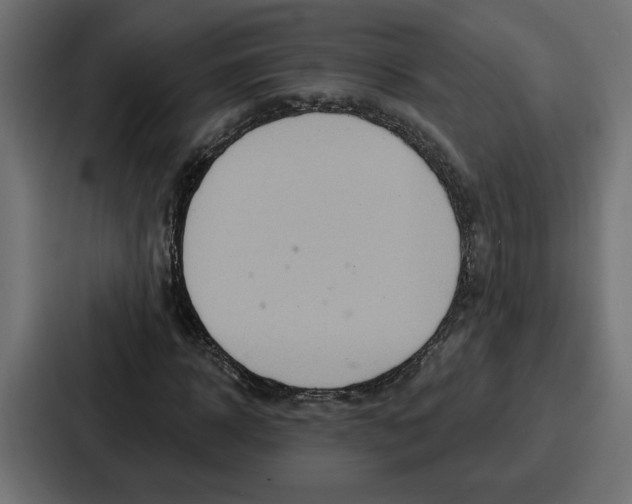 X0000086750918200705111652