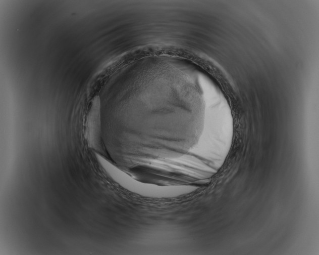 X0000086750919200705111652