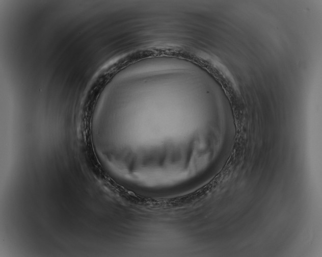 X0000086750920200705111652