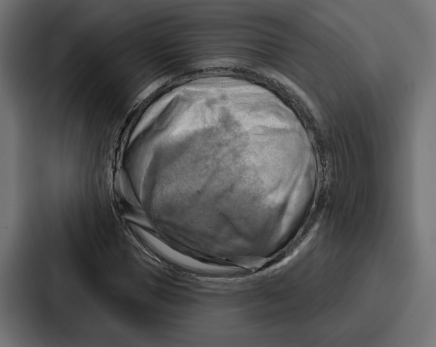 X0000086750921200705111652